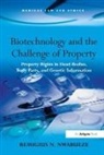 Remigius N. Nwabueze, Nwabueze Remigius N. - Biotechnology and the Challenge of Property
