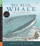 Nicola Davies, Nicola/ Maland Davies, Nick Maland, Nick Maland - Big Blue Whale