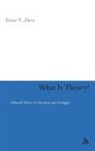 Peter V Zima, Peter V. Zima - What is Theory?