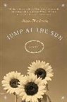 Kim McLarin - Jump at the Sun