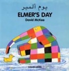 David McKee - Elmer's Day