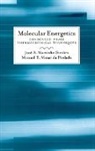 Manuel Minas da Piedade, Jose A. Martinho Simoes, José A. Martinho Simões, Manuel E. Minas Da Piedade, Manuel Minas de Piedade, Jose A. Martinho Simoes... - Molecular Energetics