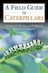 Thomas J Allen, Thomas J. Allen, Thomas J./ Brock Allen, Allen Thomas J., Jim P Brock, Jim P. Brock... - Caterpillars in the Field and Garden