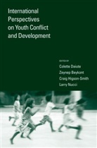 Colette Daiute, Colette (EDT)/ Beykont Daiute, Zeynep Beykont, Zeynep (Professor Beykont, Zeynep F Beykont, Zeynep F. Beykont... - International Perspectives On Youth Conflict And Development