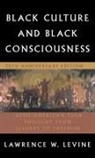 Lawrence W. Levine, the late Lawrence W. (Professor of History Levine - Black Culture and Black Consciousness