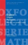 Marius Ghergu, Marius (Professor of Mathematics Romanian) Ghergu, Marius/ Radulescu Ghergu, Ghergu Marius, Vicentiu RADULESCU, Vicentiu (Professor of Mathematics Romanian) Radulescu... - Singular Elliptic Problems