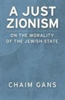 Chaim Gans, Chaim (Professor of Law Gans, Gans Chaim - A Just Zionism