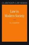 D J Galligan, D. J. Galligan, Denis Galligan - Law in Modern Society