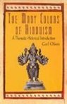 Carl Olson - Many Colors of Hinduism