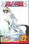 Tite Kubo, Yoshiki Nakamura, Tite Kubo, Tite Kubo - Bleach, Vol. 22
