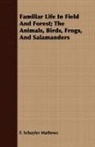 F. Schuyler Mathews - Familiar Life in Field and Forest; the a