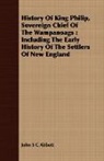 John S C Abbott, John S. C. Abbott, John Stevens Cabot Abbott - History of King Philip, Sovereign Chief