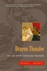 Carolyn Rose Gimian, Diana J. Mukpo - Dragon Thunder