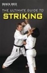 Edward (COM)/ Santiago Pollard, Raymond Horwitz, Jon Thibault - The Ultimate Guide to Striking