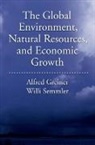 Alfred Greiner, Alfred (EDT)/ Semmler Greiner, Will Semmler, Alfred Greiner, Greiner Alfred, Willi Semmler... - The Global Environment, Natural Resources, and Economic Growth