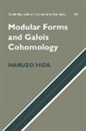 Hida Haruzo, Haruzo Hida, Haruzo (University of California Hida - Modular Forms and Galois Cohomology