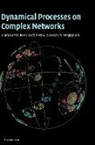 Alain Barrat, Marc Barthelemy, Alessandro Vespignani, Alessandro Barrat Vespignani - Dynamical Processes on Complex Networks