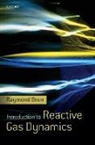 R. Brun, Raymond Brun, Raymond (Directeur De Recherches Au Cnrs and Brun, Raymond (Directeur de Recherches au CNRS and Head of Research Department at Universite de Provence Brun, Brun Raymond - Introduction to Reactive Gas Dynamics