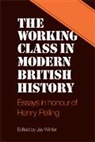 Jay Winter, Jay Winter - The Working Class in Modern British Hist