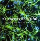 Colin Salter, Colin Salter - Science Is Beautiful: The Human Body