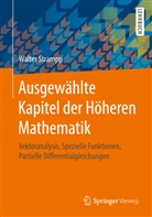 Walter Strampp - Ausgewählte Kapitel der Höheren Mathematik