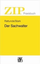 Rolf Rattunde, Rolf (Prof. Rattunde, Jesko Stark - Der Sachwalter