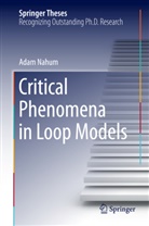 Adam Nahum - Critical Phenomena in Loop Models