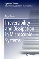 Edgar Roldán, Édgar Roldán - Irreversibility and Dissipation in Microscopic Systems