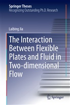 Laibing Jia - The Interaction Between Flexible Plates and Fluid in Two-dimensional Flow