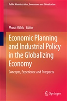 Mura Yülek, Murat Yülek - Economic Planning and Industrial Policy in the Globalizing Economy
