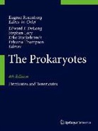 Edward F. DeLong, Stephen Lory, Erko Stackebrandt, Fabiano Thompson - The Prokaryotes