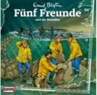 Enid Blyton, Oliver Mink, Oliver Rohrbeck - Fünf Freunde und die Sturmflut, 1 Audio-CD (Audiolibro)