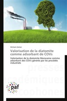 Hicham Zaitan, Zaitan-h - Valorisation de la diatomite