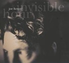 Joe Henry - Invisible Hour, 1 Audio-CD (Audio book)