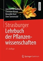Joachim Kadereit, Joachim W. Kadereit, Christia Körner, Christian Körner, Benedi Kost, Benedikt Kost... - Strasburger Lehrbuch der Pflanzenwissenschaften