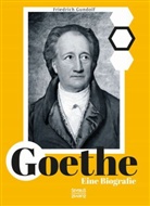 Friedrich Gundolf - Goethe. Eine Biografie