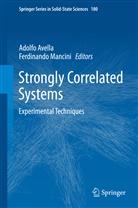 Adolf Avella, Adolfo Avella, Mancini, Mancini, Ferdinando Mancini - Strongly Correlated Systems