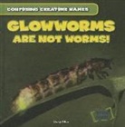 Daisy Allyn, Michael Flynn - Glowworms Are Not Worms!