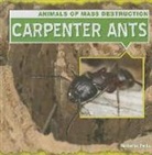 Katherine Ponka - Carpenter Ants