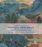 Cédric Laurent, Cedric Laurent, Cédric (1976-....) Laurent, LAURENT CEDRIC - Voyages immobiles dans la prose ancienne : la peinture narrative sous la dynastie Ming : 1368-1644