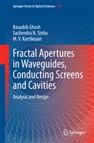 Basude Ghosh, Basudeb Ghosh, M V Kartikeyan, M. V. Kartikeyan, Machavaram V. Kartikeyan, Sachendra Sinha... - Fractal Apertures in Waveguides, Conducting Screens and Cavities