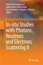 Sudarsanam Suresh Babu, Thomas Kannengiesser, Yu-ichi Komizo, Yu-ichi Komizo et al, Antonio Ramirez, Antonio J. Ramirez... - In-situ Studies with Photons, Neutrons and Electrons Scattering II