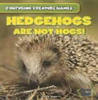 Lincoln James - Hedgehogs Are Not Hogs!