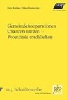 Peter Bußjäger, Niklas Sonntag - Gemeindekooperation (f. Österreich)