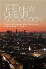 Mark Gottdiener, Ray Hutchison, Ray Gottdiener Hutchison, Ray/ Gottdiener Hutchison, Michael Ryan, Michael T. Ryan - New Urban Sociology