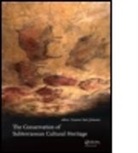 C. Saiz-Jimenez, C. (Instituto De Recursos Naturales Saiz-Jimenez, C. Saiz-Jimenez, C. (Instituto de Recursos Naturales y Agrobiologia Saiz-Jimenez, Cesareo Saiz-Jimenez, Saiz-Jimenez C. - Conservation of Subterranean Cultural Heritage