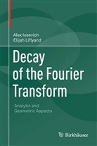 Ale Iosevich, Alex Iosevich, Elijah Liflyand - Decay of the Fourier Transform