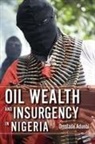 Omolade Adunbi, Adunbi Omolade - Oil Wealth and Insurgency in Nigeria