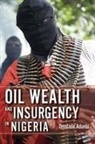 Omolade Adunbi, Adunbi Omolade - Oil Wealth and Insurgency in Nigeria