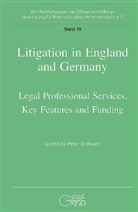 Peter Gottwald, Peter Gottwald - Litigation in England and Germany